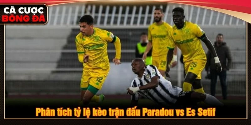 Phân tích tỷ lệ kèo trận đấu Paradou vs Es Setif