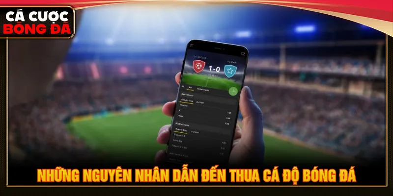Có nhiều nguyên nhân dẫn đến việc thua lỗ khi đặt cược kèo